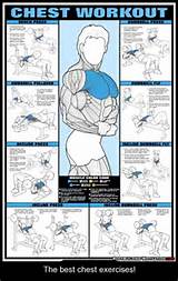 Images of Muscle Workout For Chest