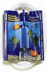 Images of Fish Tank Cleaner Service