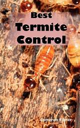 Photos of Termite Borax