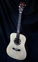 Pictures of Custom Acoustic Guitar