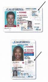 Apply For California Drivers License Images