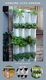 Images of Outdoor Herb Garden Rack