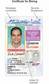 Tn Gov Driver License