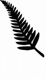 New Zealand Silver Fern Pictures