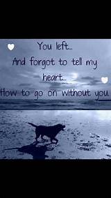 Inspirational Quotes About Losing A Pet Pictures