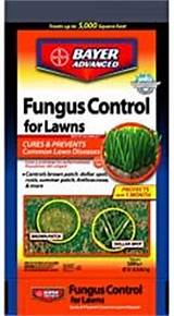 Pictures of Bayer Advanced Fungus Control Home Depot