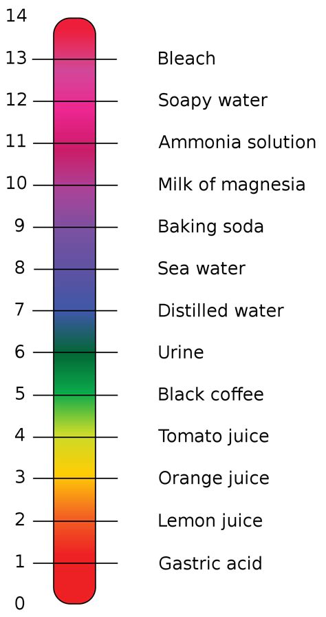 How To Ph Balance Water For Plants Images
