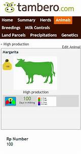 Cattle Software Free Images