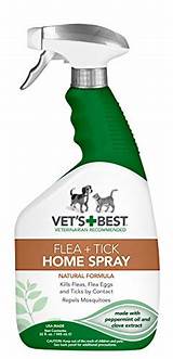 Knockout Flea Control Spray Pictures