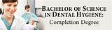 Bachelor Of Science Online Degree