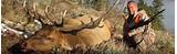 Photos of Elk Hunting Outfitters Colorado