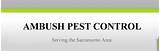 What Do Pest Control Companies Use Pictures