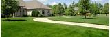 Photos of Lawn And Landscaping Services