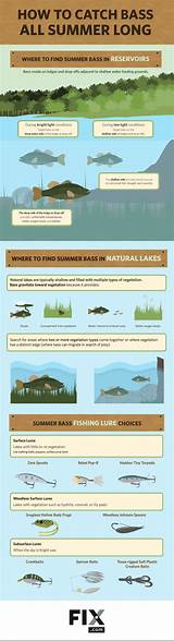 Stained Water Bass Fishing Tips