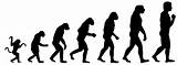 Theory Of Evolution Of Man Images