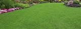 Images of What Is Lawn Care