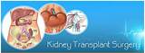 Images of Kidney Transplant Recovery Time
