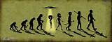 Pictures of Theory Of Evolution Humans Evolved From Monkeys