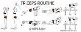 Photos of Tricep Workout Exercises