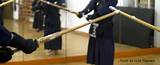 Pictures of Kendo Training Exercises