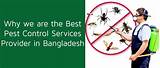 The Best Pest Control Service Pictures