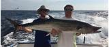 Pictures of Fishing Charters In Panama
