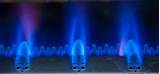 Blue Flame Gas Co