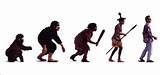 The Theory Of Evolution Of Man Pictures