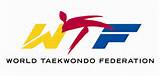 Www Taekwondo Federation Of India