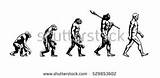 Theory Of Evolution Neanderthal Photos