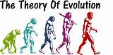 Theory Of Evolution Jokes