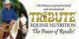 Equine Nutrition Companies