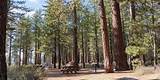 Tahoe Campgrounds Reservations Photos