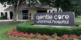 Gentle Care Animal Hospital Reviews Pictures