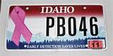 Breast Cancer License Plate California Photos