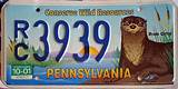 Photos of River Otter License Plate Pa