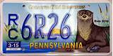 River Otter License Plate Pa