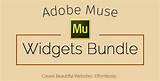 Pictures of Adobe Muse Hosting