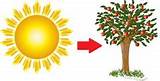 Images of Radiant Energy To Electrical Energy