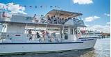 Dolphin Cruise Naples Fl