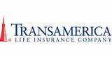 Transamerica Whole Life Insurance Images
