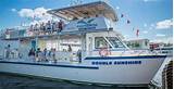 Dolphin Cruise Naples Fl Pictures