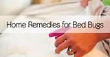 Photos of Treatment For Bed Bugs Home Remedies