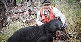 Images of Montana Bear Hunting Outfitters