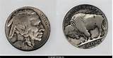 Buffalo Nickel Silver Value Images