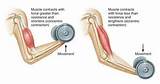 Pictures of Diaphragm Muscle Strengthening Exercises