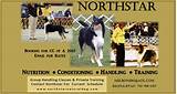 Pictures of Northstar Online Classes
