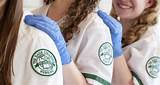 Colleges That Offer Bachelor Of Science In Nursing