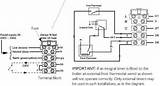 Baxi Boiler Wiring Diagram Photos