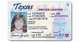 Fake Security License